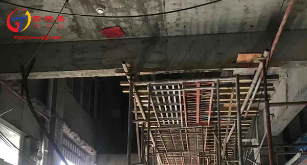 海豐東維亞金伯爵改造工程